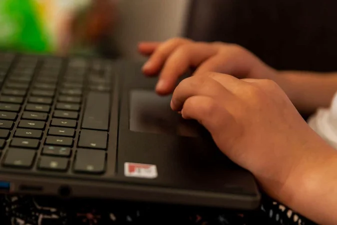 ¿El panel táctil o el mouse de Chromebook no funcionan?  13 correcciones para probar