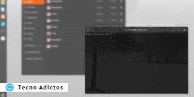 No se puede escribir en el terminal destacado