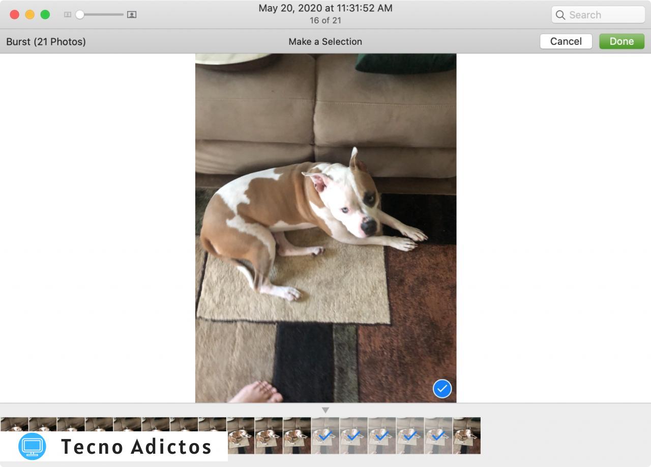 Seleccione Burst Photos en Mac