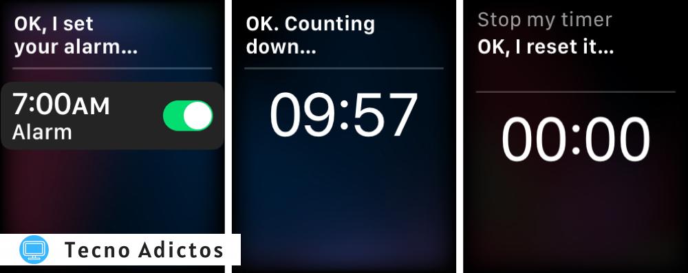 Siri Set Timer Alarm Apple Watch
