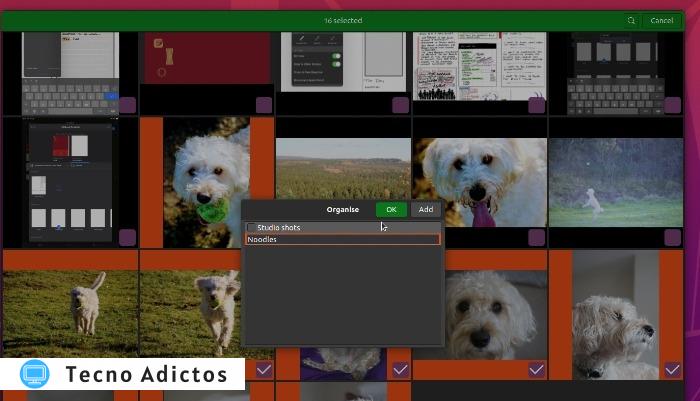 Captura de pantalla de Gnome Photos que muestra la interfaz para configurar un álbum de fotos sobre un tema.
