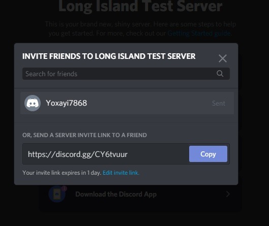 Discord Screenshare invitar amigos Testserver