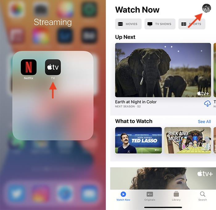 Cancelar Apple Tv Plus al iniciar la aplicación Tv en el iPhone