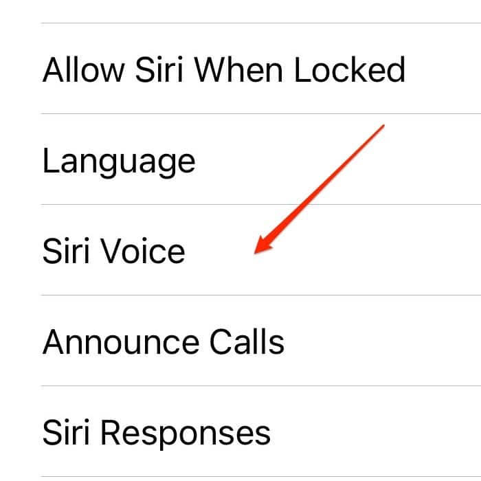 Configuración de Siri Voice Iphone