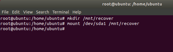 ubuntu-livecd-mount-partición