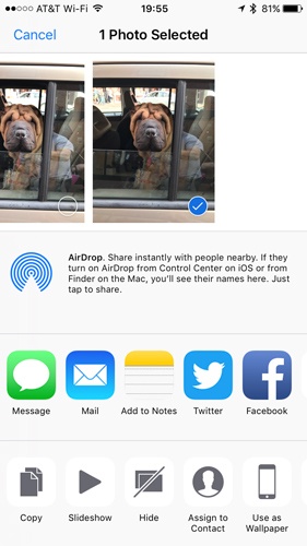 Puede compartir sus fotos y videos en casi cualquier red social o realizar muchas acciones con la aplicación Fotos de iOS 10 +.