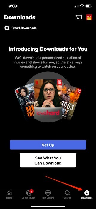 Descargar contenido de Netflix sin conexión Descargas de iOS