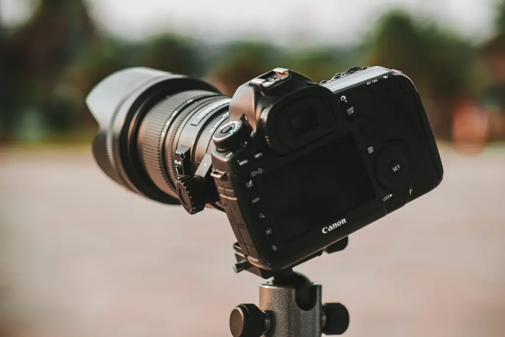 Top 5 mejores marcas de cámaras fotográficas