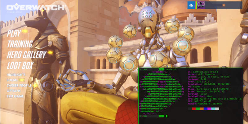 Overwatch en vino en Gentoo Overwatch en vino en Gentoo